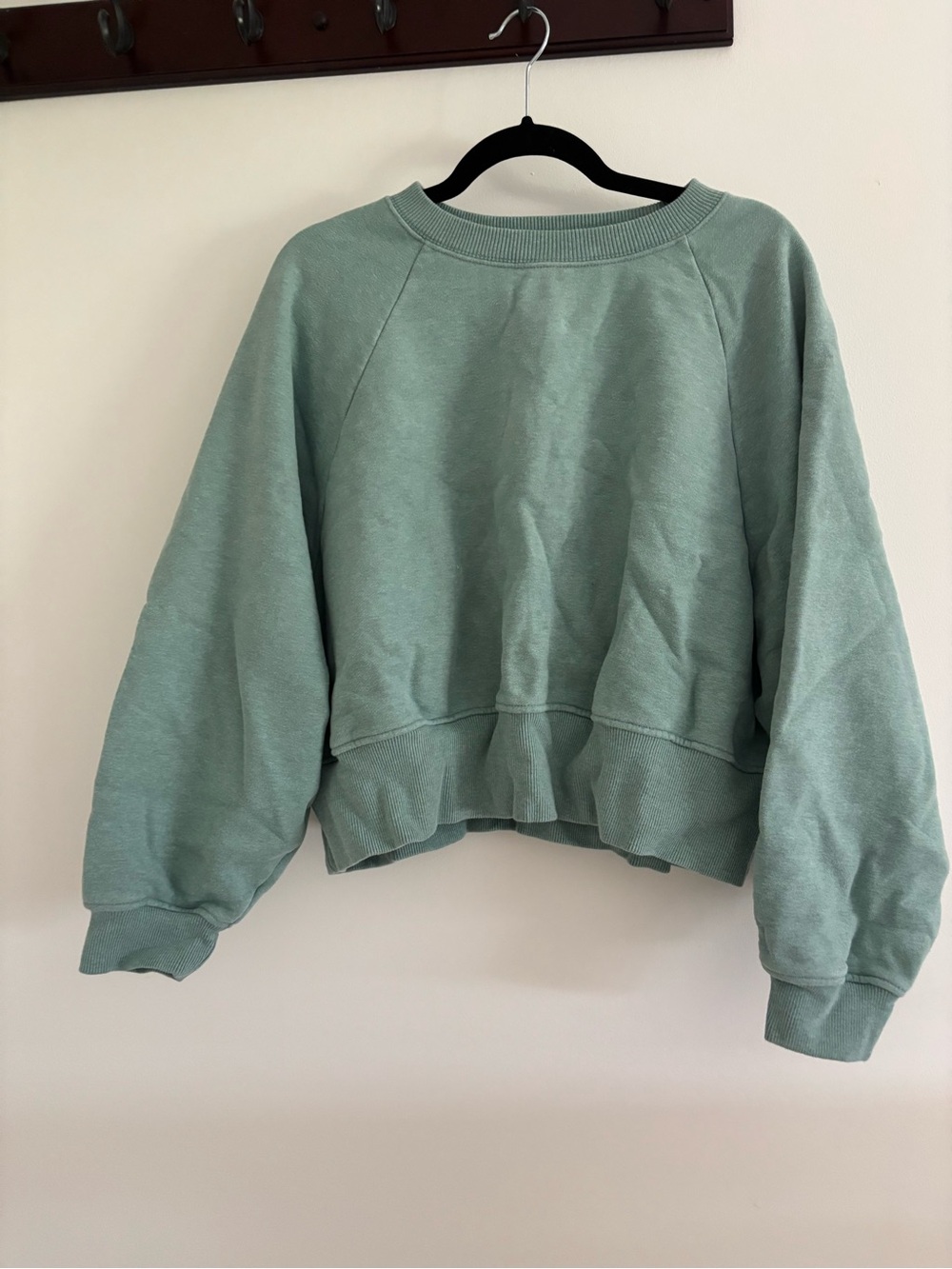 American Eagle Outfitters Sage Green Cropped Crewneck Sweater